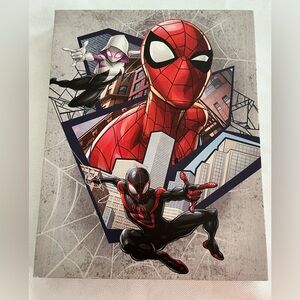 Marvel Spider-Man Dynamic Wall Art